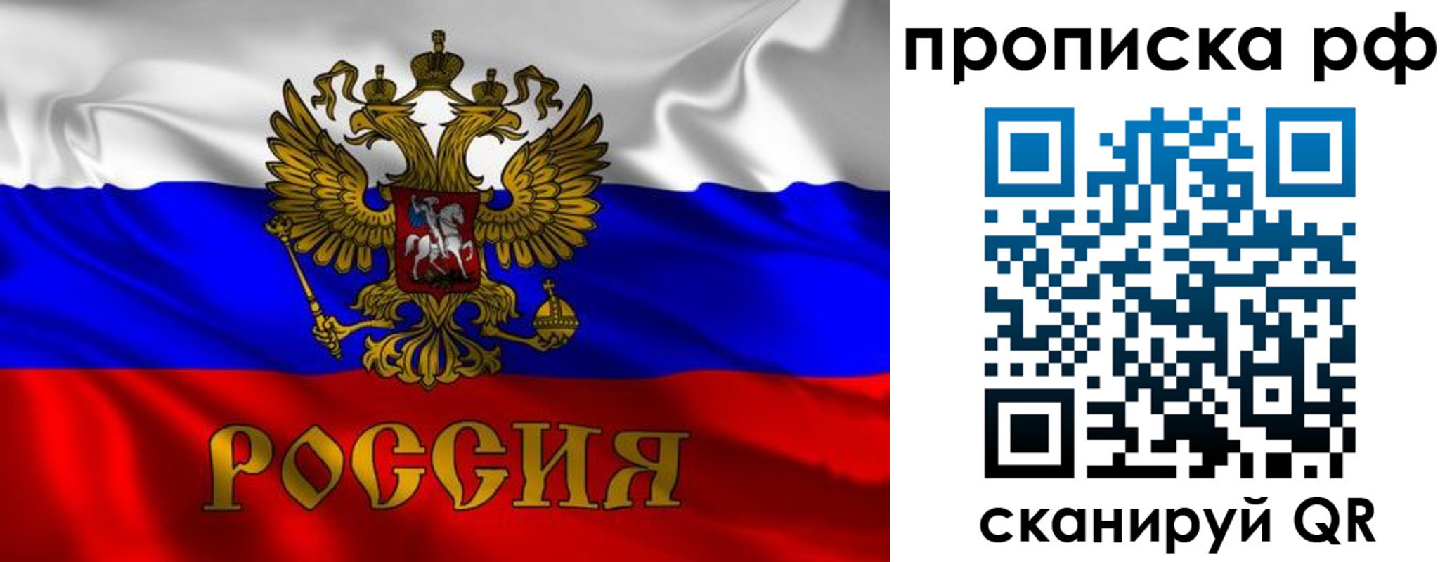прописка 2025 в Сольцах