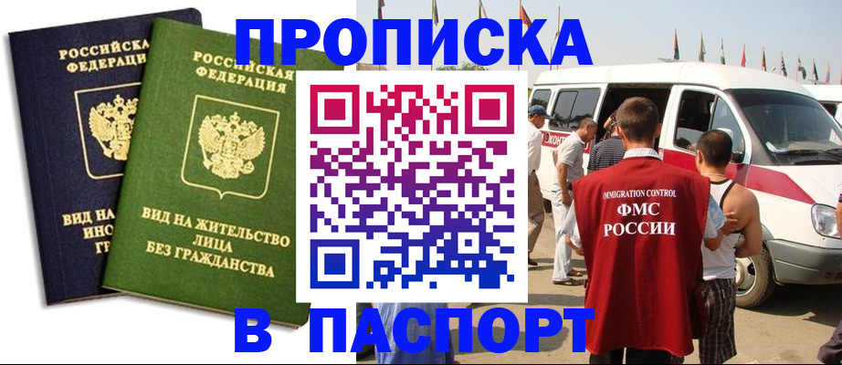 прописка в Сольцах